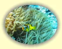 IMG_2007_05_27 18_26_24 * 2272 x 1704 * (614KB)